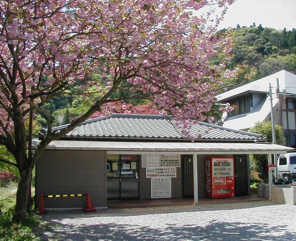 レンタルボートよりとも